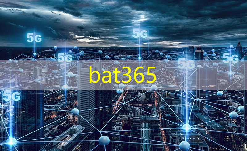 bat365：快速讲解智慧城市的书籍